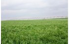Property photo 105 - LAND AUCTION, 3255+/- Acres offered in 13 Tracts